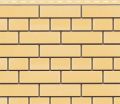 Фасадная панель Доломит, Прокрашенный кирпич, Желтый цвет. купить в Москве