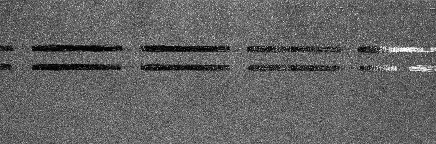 Коньково-карнизная черепица Docke, Premium, Черника купить в Москве