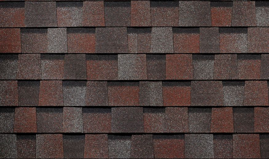 Ламинированная черепица Docke, DRAGON PREMIUM, Слива купить в Москве